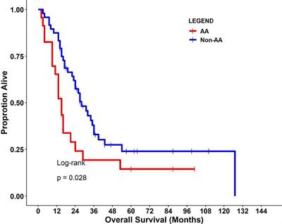 Comparison of Radiomic Features in a Diverse Cohort of Patients With Pancreatic Ductal Adenocarcinomas